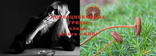 кокс Баксан