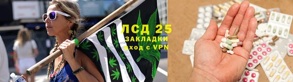 каннабис Аркадак