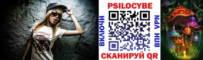 сколько стоит  Тайшет  Галлюциногенные грибы Cubensis 